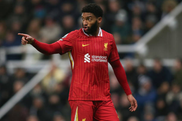 他的職業生 他的職業生