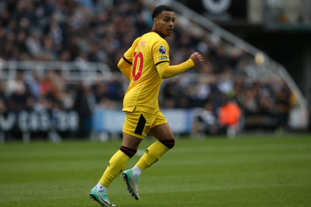 去在波兰队 去在波兰队